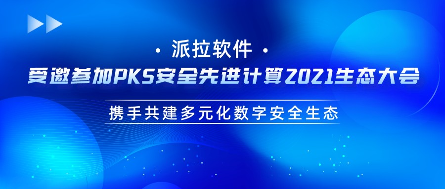 派拉軟件與奇安信結(jié)成戰(zhàn)略合作伙伴，攜手共建多元化數(shù)字安全生態(tài)